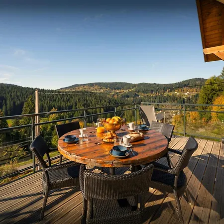 L'ursus - Ovo Network * Gérardmer