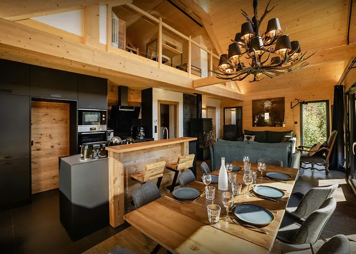 L'ursus - Ovo Network *