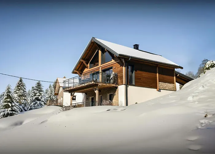 L'ursus - Ovo Network *