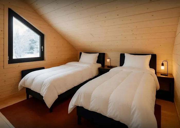 L'ursus - Ovo Network * Gérardmer