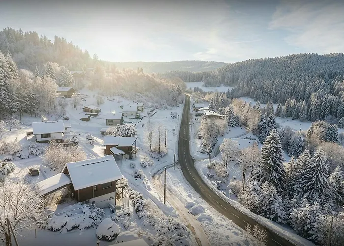 L'ursus - Ovo Network Chalet Gérardmer