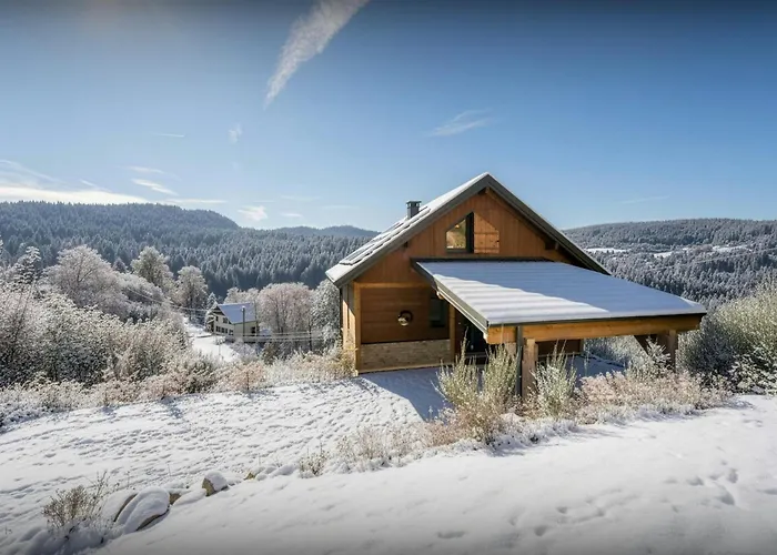 L'ursus - Ovo Network